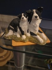 Border Collie Dog With His Pup