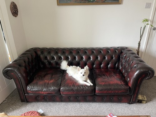 Oxblood leather chesterfield - leather,