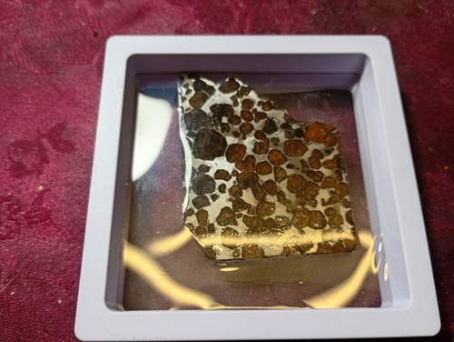 Large pallasite meteorite - large,
