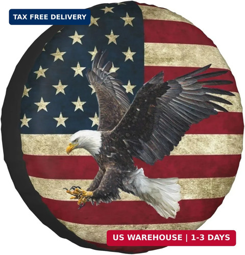 Bald eagle american flag - bald,