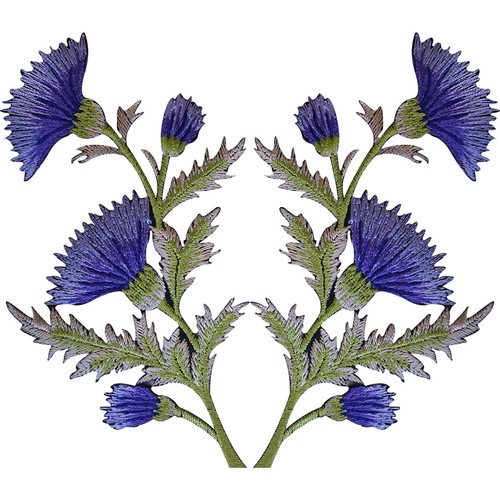 Pair purple lavender - of,