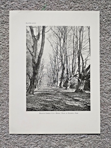 Welwyn garden city - welwyn, :