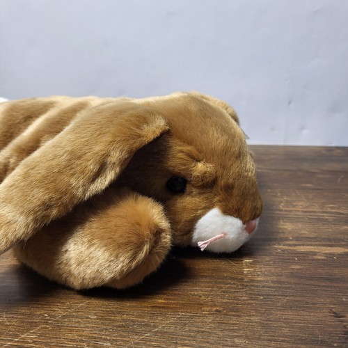 Beanie buddies ears 2001 - "ears",