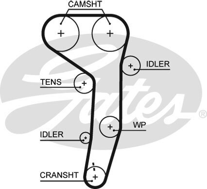 Gates 5607xs timing belt - gates,