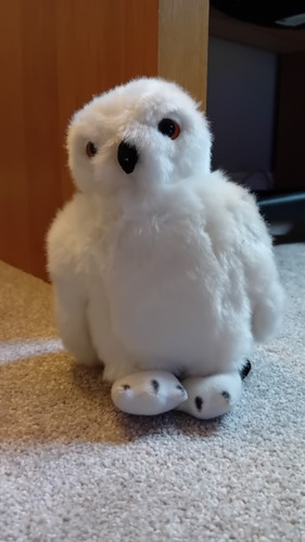Hedwig harry potter - hedwig, official