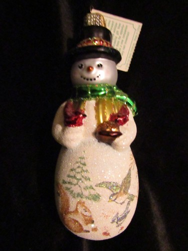 Frosty ornament glass - frosty,