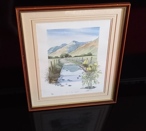 Geoffrey cowton after the - cowton, rain