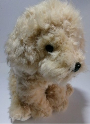 Cuddly toy poodle - cuddly, labradoodle