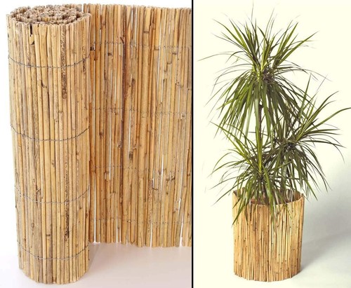 Extra thick bamboo - extra, 5m