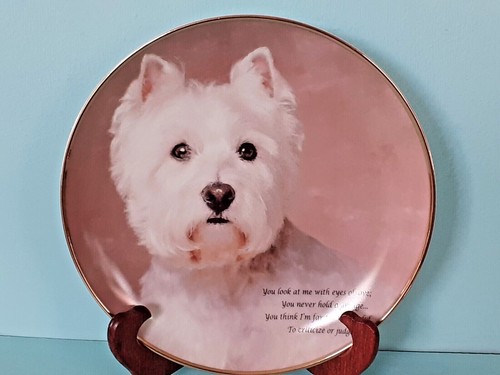 Eyes love poetry - eyes, westie