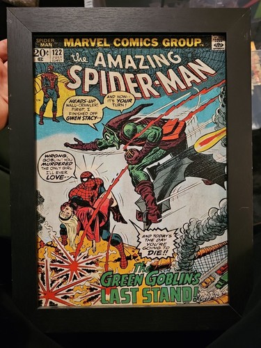 The amazing spider man - amazing,