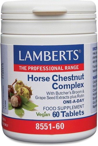 Lamberts horse chestnut - horse,