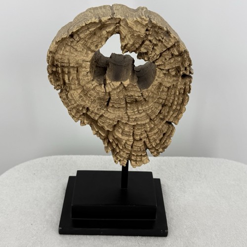Unbranded tree slice wooden - unbranded,