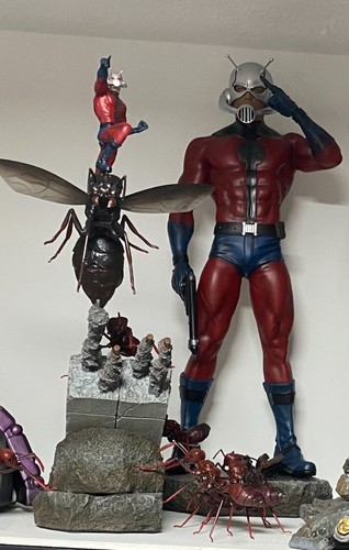 Studios antman 4 - xm,