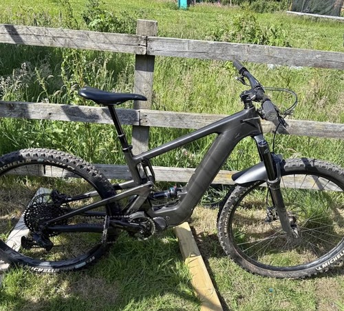 Santa cruz heckler - cruz,