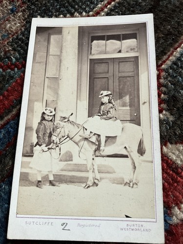 Bickersteth girls pet donkey - +,