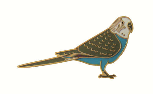 Budgerigar budgie parakeet - budgerigar,