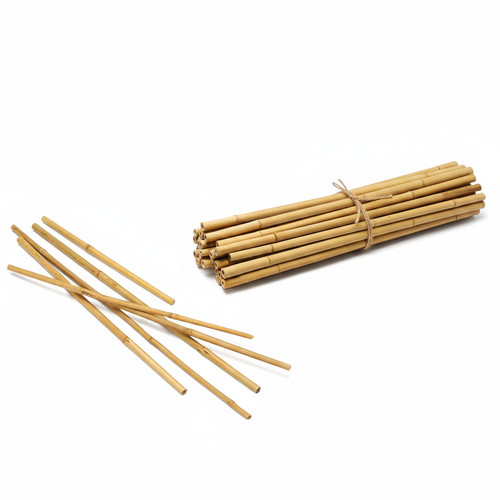 Natural bamboo canes garden - bamboo,