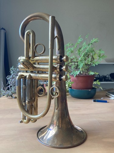 Taylor trophy cornet - taylor,