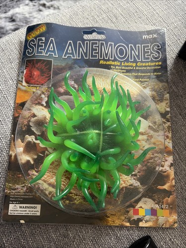 Glowing inch sea anemone - 6,
