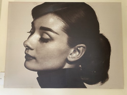 Audrey hepburn canvas wall - audrey,