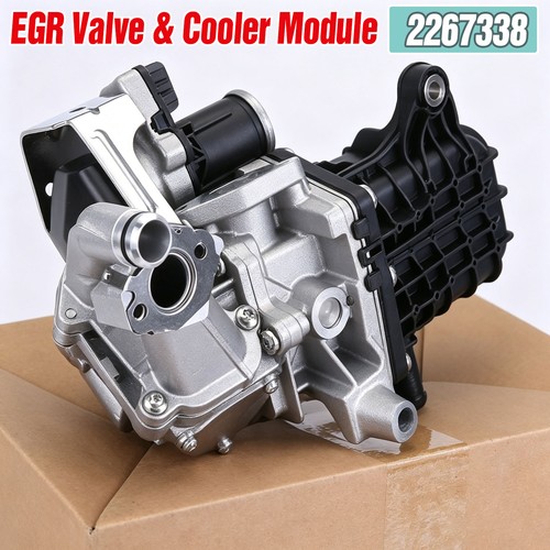 Egr valve module - module, cooler
