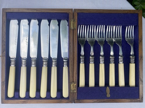 Vintage piece boxed fish - 12-piece,