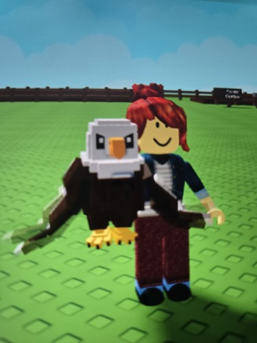 Bald eagle grow garden 2 - bald,