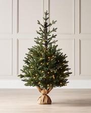 Pre lit norway spruce - pre-lit,