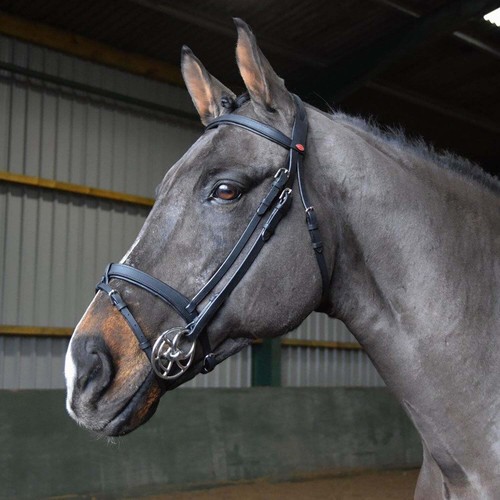 Whitaker ready ride snaffle - to,