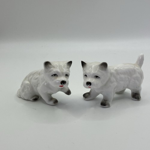 West highland terrier dog - 2x,