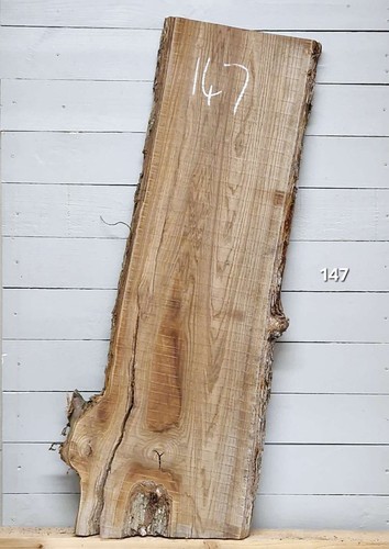 Elm live edge timber 1230mm - live,