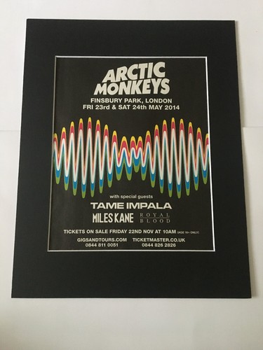 Arctic monkeys finsbury park - arctic,