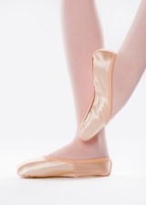 Freed of London Demi Pointe Soft Bloch