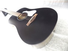 Seagull electric acoustic