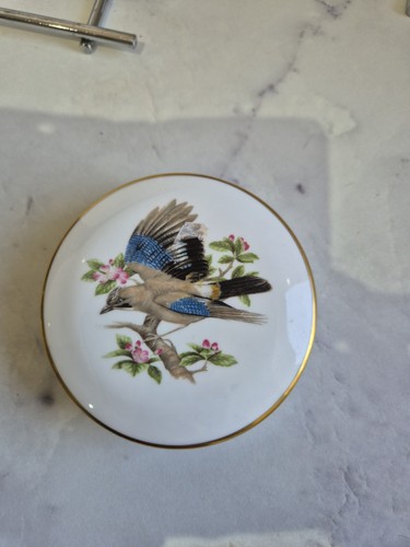 Jay bird bone - jay, china