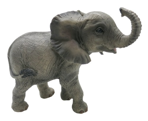 Out africa collection - africa',
