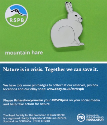 Rspb pin badge - badge, niic