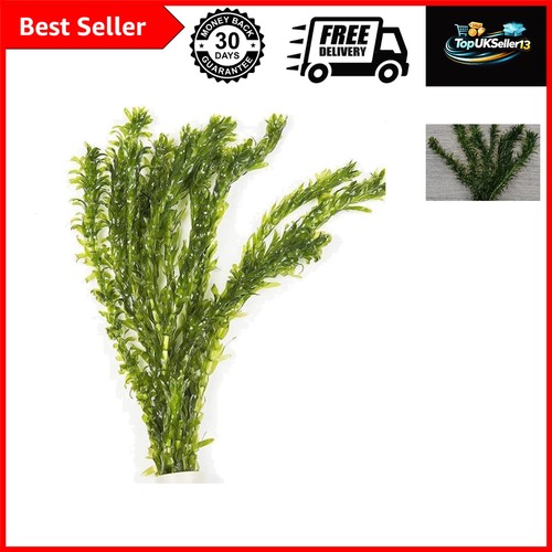 Elodea densa loose - 5, stems