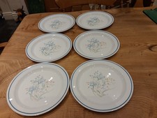 Vintage Pyrex Irys Dinner