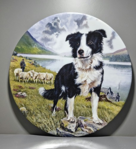 Royal grafton bone china - royal,