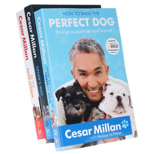 The dog whisperer cesar - dog, millan