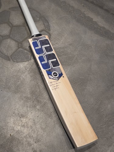 T20 blast cricket bat - cricket, brand
