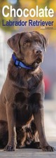 Labrador Retriever Chocolate 2026 Slim Wall Calendar Official