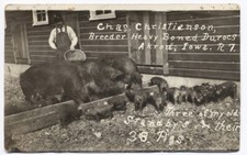 AKRON IA Iowa c1910 RP Chas