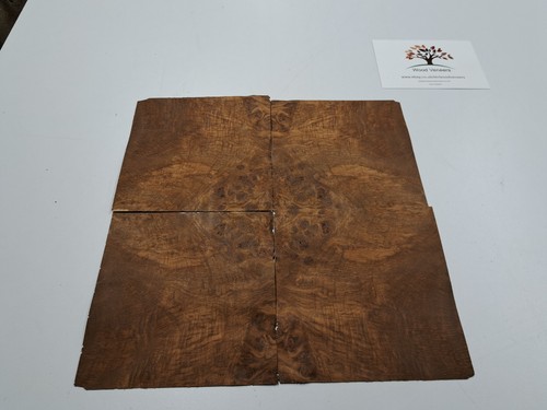 Burr brown oak - burr,