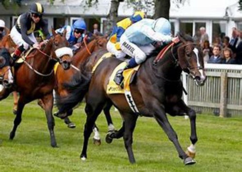 The 2014 horse - the, system