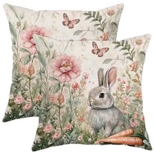 1 X Beautiful Hare Rabbit