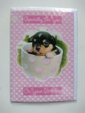 Cute Chihuahua Puppy Pup in a