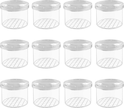 Magnifying insect viewer box - insect,
